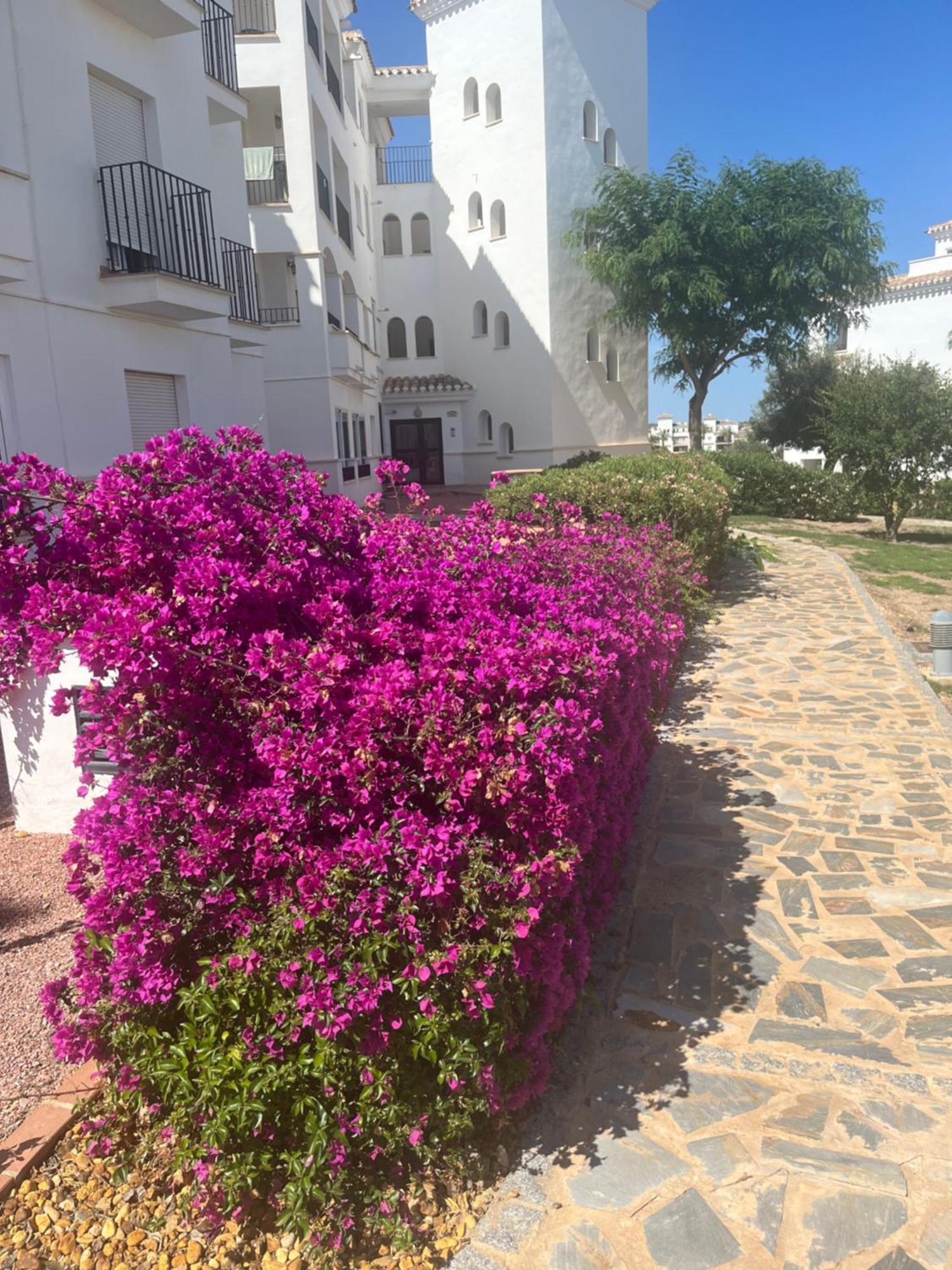 La Casa Rosita, Hacienda Riquelme Golf Resort Sucina Murcia Exterior photo